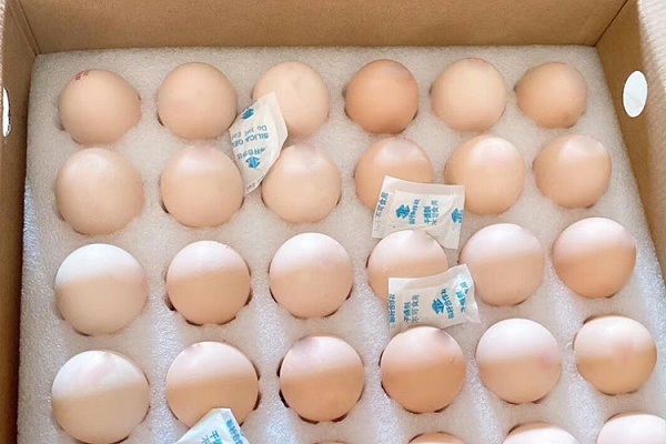 眉山土鸡养殖场定制昊瑞包装鸡蛋托盘
